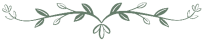 Section Divider